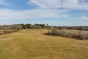 17 Ac St Beulah Chapel Rd, Montgomery, TX 77316 - Photo 20