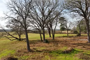 17 Ac St Beulah Chapel Rd, Montgomery, TX 77316 - Photo 16
