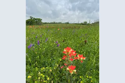 17 Ac St Beulah Chapel Rd, Montgomery, TX 77316 - Photo 30