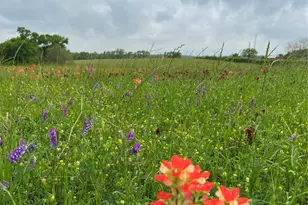 17 Ac St Beulah Chapel Rd, Montgomery, TX 77316 - Photo 30