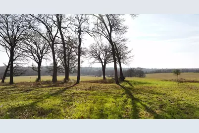 17 Ac St Beulah Chapel Rd, Montgomery, TX 77316 - Photo 14