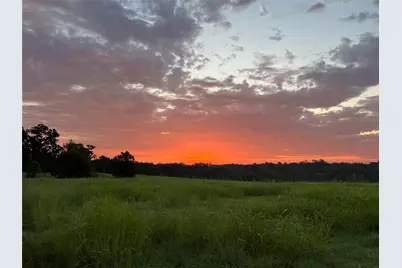 17 Ac St Beulah Chapel Rd, Montgomery, TX 77316 - Photo 12