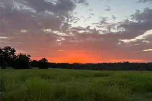 17 Ac St Beulah Chapel Rd, Montgomery, TX 77316 - Photo 12