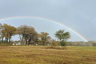 17 Ac St Beulah Chapel Rd, Montgomery, TX 77316 - Photo 28