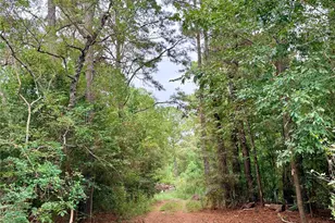 248 County Rd 48824, Dayton, TX 77535 - Photo 6