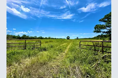 2101 W Bayshore Road, Anahuac, TX 77514 - Photo 6