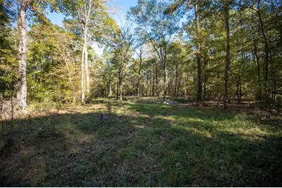 00 Farm To Market 1745, Chester, TX 75936 - Photo 32