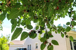 11423 Wickersham Ln, Houston, TX 77077 - Photo 32