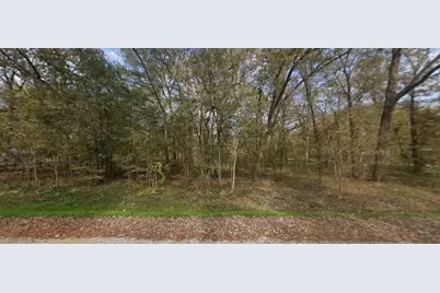 0 Janning Street, Coldspring, TX 77331 - Photo 2