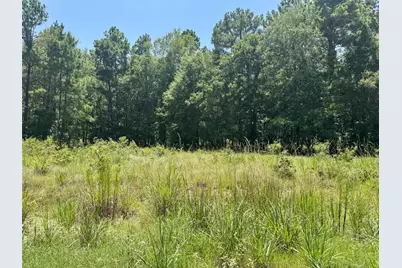Tract 27 Cr 1105, Kennard, TX 75847 - Photo 12