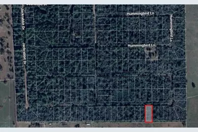 0 Mockingbird Lane, Hempstead, TX 77445 - Photo 1