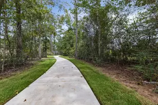 277 Douglas Hls Dr, Magnolia, TX 77354 - Photo 26