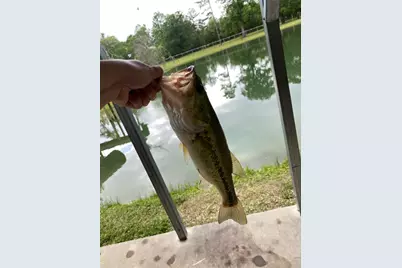 20575 N St Highway 146, Liberty, TX 77575 - Photo 4