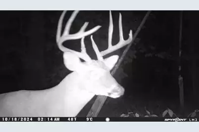 20575 N St Highway 146, Liberty, TX 77575 - Photo 8