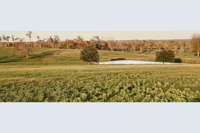 5925 Old Three Hundred Drive, Washington, TX 77880 - Photo 10
