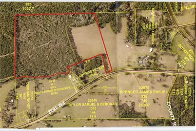 000 Tbd 3 Fm 1632, Woodville, TX 75979 - Photo 2