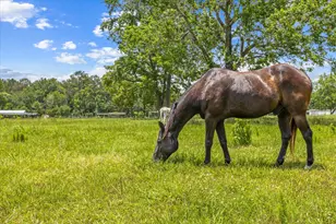 000 Tbd 3 Fm 1632, Woodville, TX 75979 - Photo 1