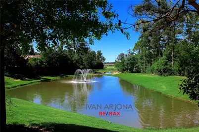 122 Abram, The Woodlands, TX 77382 - Photo 30