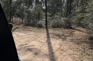 A0181 Northwest Passage, Plantersville, TX 77363 - Photo 1