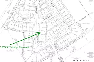 19222 Trinity Ter Ln, Spring, TX 77379 - Photo 22
