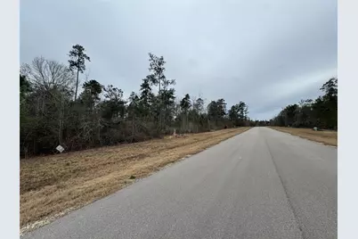 350 Iron Horse Road, Willis, TX 77378 - Photo 14