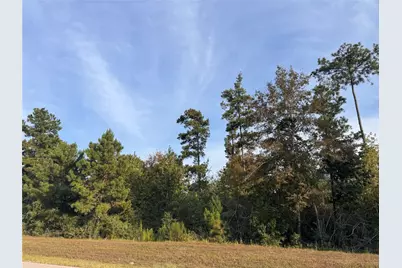 350 Iron Horse Road, Willis, TX 77378 - Photo 2