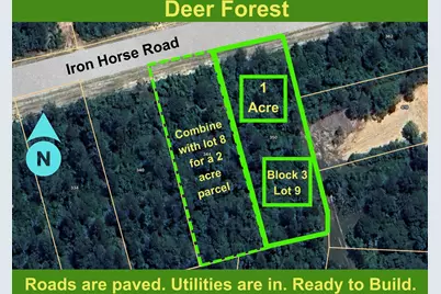 350 Iron Horse Road, Willis, TX 77378 - Photo 1