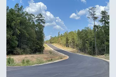 350 Iron Horse Road, Willis, TX 77378 - Photo 16