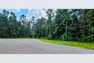 350 Iron Horse Road, Willis, TX 77378 - Photo 28