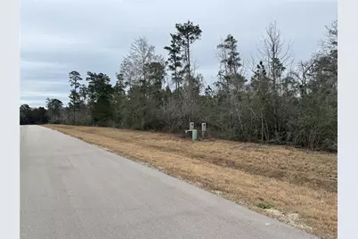 350 Iron Horse Road, Willis, TX 77378 - Photo 12