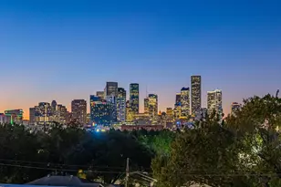 315 Middleton St, Houston, TX 77003 - Photo 38