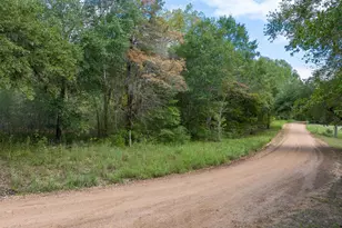 0000 Dungens Mills Rd, Columbus, TX 78934 - Photo 1