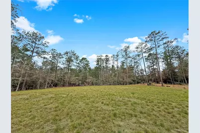 252 Amblewood Drive Drive, Brookeland, TX 75931 - Photo 6