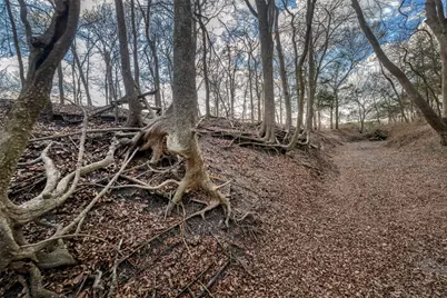 6807 Winedale Road, Burton, TX 77835 - Photo 12