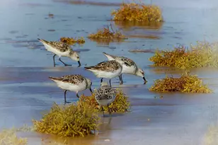 388 County Road 616, Sargent, TX 77414 - Photo 32