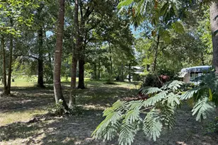 181 Willow Oak Ln, Point Blank, TX 77364 - Photo 30