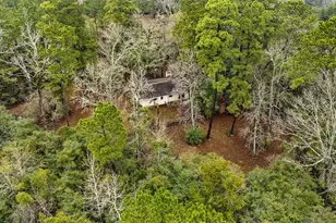 401 Turner Cemetery Rd, Livingston, TX 77351 - Photo 28