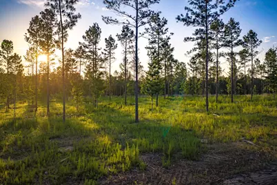 Tbd Lot 2 Fm 1276, Livingston, TX 77351 - Photo 4