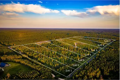 Tbd Lot 2 Fm 1276, Livingston, TX 77351 - Photo 2