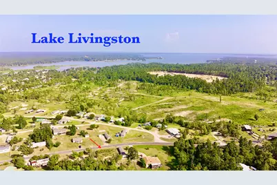 619 Yaupon Cove Drive, Onalaska, TX 77360 - Photo 12