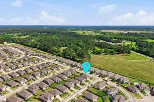 1233 Antelope Passing Dr, Montgomery, TX 77316 - Photo 48