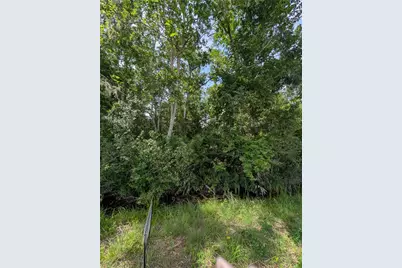 000 Oak Forest Street, Brazoria, TX 77422 - Photo 4
