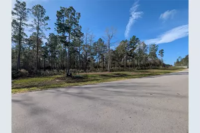 10698 Ruger Road, Willis, TX 77378 - Photo 8