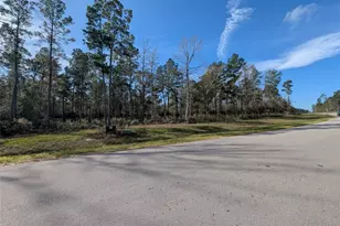 10698 Ruger Rd, Willis, TX 77378 - Photo 8