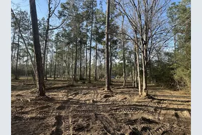 10698 Ruger Road, Willis, TX 77378 - Photo 10