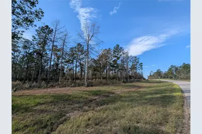 10698 Ruger Road, Willis, TX 77378 - Photo 2