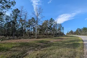 10698 Ruger Rd, Willis, TX 77378 - Photo 2