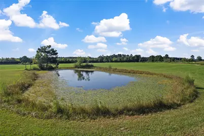 501 County Road 2276, Cleveland, TX 77327 - Photo 32