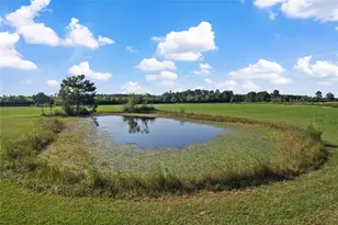 501 County Rd 2276, Cleveland, TX 77327 - Photo 32