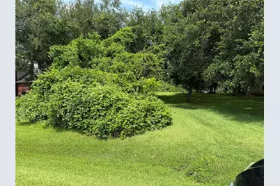 4907 Diamond Spring Drive Drive, Missouri City, TX 77459 - Photo 8